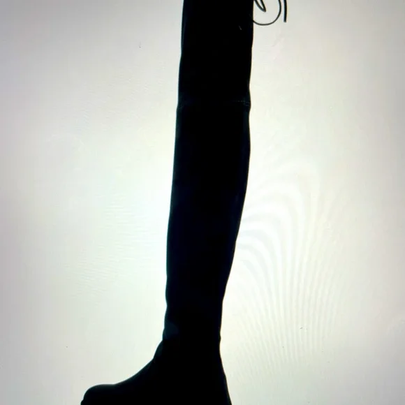 Stuart Weitzmsn “ Lowland” Suede Over-the Knee Boots